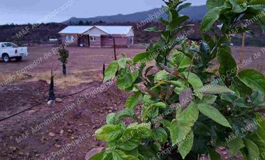 Venta de Parcela en Ovalle 5000 m2