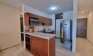 RENTO DEPARTAMENTO AMUEBLADO CERCA DE PLAZA AMERICAS