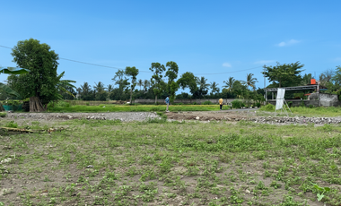 Tanah SHM 1 Jtaan/m2 Kalasan View Sawah - Promo Cicilan 0% 12x