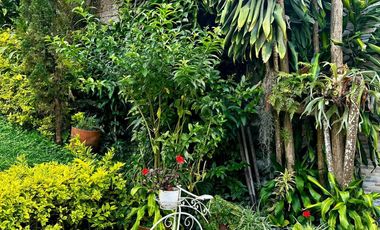 CASA EN VENTA – LA FRANCIA (Frente a Santorini)