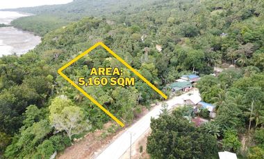 Residential Lot for Sale – Overlooking Sea View in San Francisco, Camotes Island, Cebu