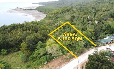 Residential Lot for Sale – Overlooking Sea View in San Francisco, Camotes Island, Cebu