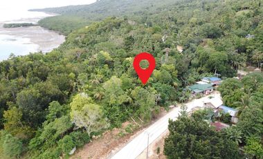 Residential Lot for Sale – Overlooking Sea View in San Francisco, Camotes Island, Cebu