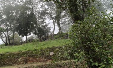 Hermoso terreno en venta Xico Viejo