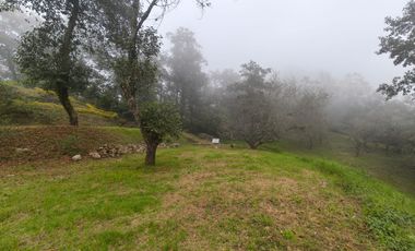 Hermoso terreno en venta Xico Viejo