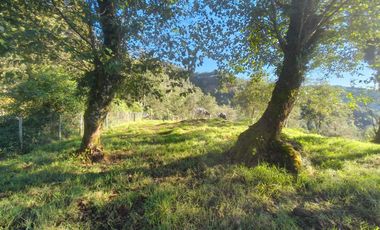 Hermoso terreno en venta Xico Viejo