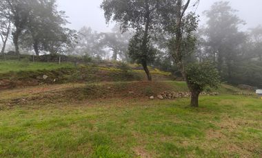 Hermoso terreno en venta Xico Viejo