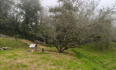 Hermoso terreno en venta Xico Viejo