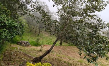 Hermoso terreno en venta Xico Viejo