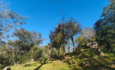 Hermoso terreno en venta Xico Viejo