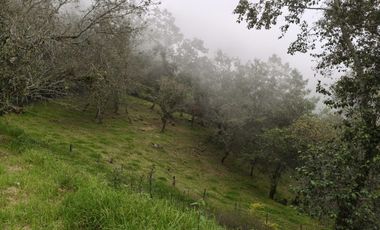 Hermoso terreno en venta Xico Viejo