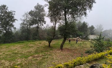 Hermoso terreno en venta Xico Viejo