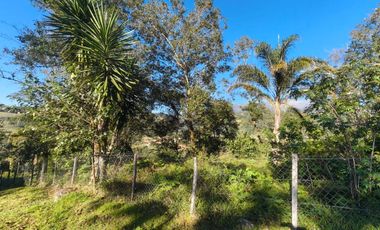 Hermoso terreno en venta Xico Viejo