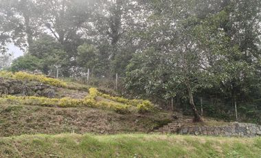 Hermoso terreno en venta Xico Viejo