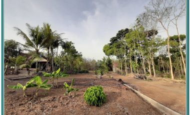 Tanah Kavling Strategis Pendowoharjo Bantul Yogyakarta Murah