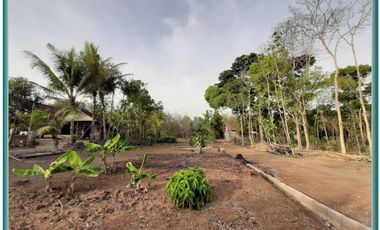 Tanah Kavling Strategis Pendowoharjo Bantul Yogyakarta Murah