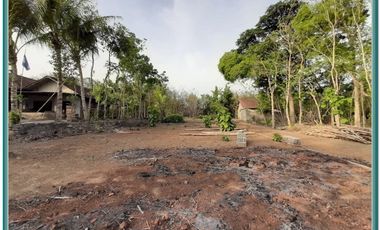 Tanah Kavling Strategis Pendowoharjo Bantul Yogyakarta Murah