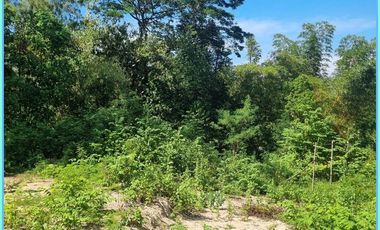 Tanah Kavling Strategis Pendowoharjo Bantul Yogyakarta Murah