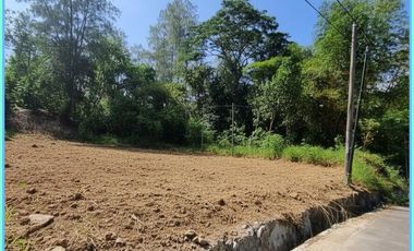 Tanah Kavling Strategis Pendowoharjo Bantul Yogyakarta Murah