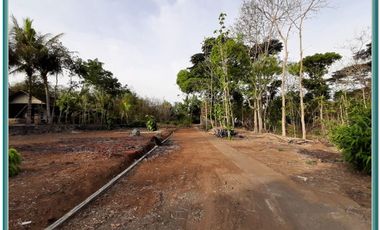 Tanah Mangku Jalan Pendowoharjo Bantul Yogyakarta Dijual Cepat