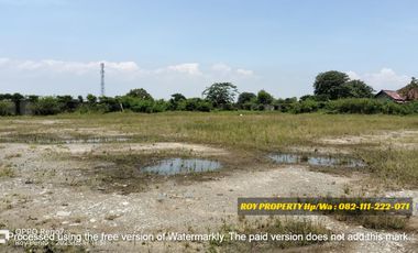 TERMURAH Dijual Tanah di Marunda 8500 m2 Dekat Pintu Tol Tarumajaya NEGO SAMPAI JADI