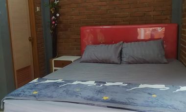 Homestay Djoglo Boto Yogyakarta