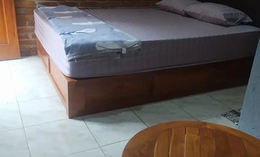 Homestay Djoglo Boto Yogyakarta