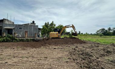 Tanah Cantik View Sawah - Mangku Jalan Raya Pandowoharjo Sleman