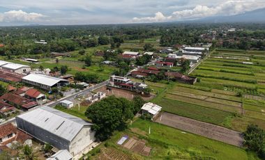 Tanah Cantik View Sawah - Mangku Jalan Raya Pandowoharjo Sleman