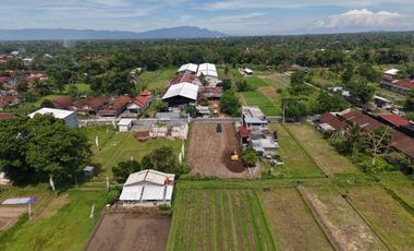 Tanah Cantik View Sawah - Mangku Jalan Raya Pandowoharjo Sleman