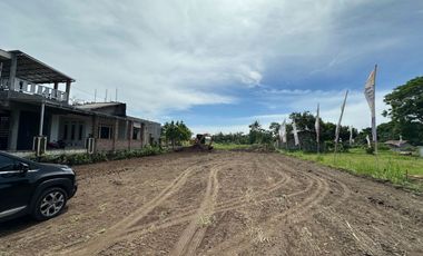 Tanah Cantik View Sawah - Mangku Jalan Raya Pandowoharjo Sleman
