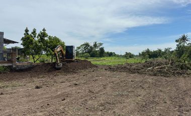 Tanah Cantik View Sawah - Mangku Jalan Raya Pandowoharjo Sleman