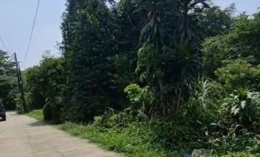 Strategic Land, Cool, suitable for investment, Police Plot, L1784 m2, Parung