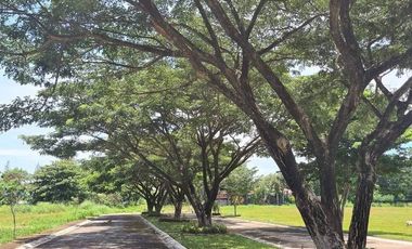 FOR SALE! Premier Residential Lot near St Lasalle School in Bacolod-AP