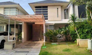 Disewakan Rumah the mansion pakuwon indah dekat pakuwon mall graha family