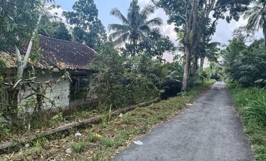 Tanah 24600 Meter Persegi Cocok Untuk Homestay/Glamping, Wonokerto, Turi