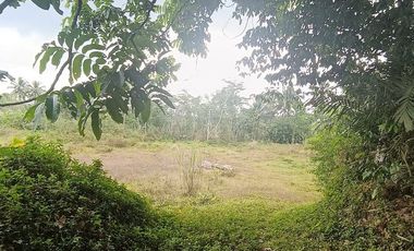 Tanah 24600 Meter Persegi Cocok Untuk Homestay/Glamping, Wonokerto, Turi