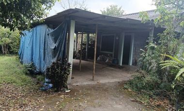 Tanah 24600 Meter Persegi Cocok Untuk Homestay/Glamping, Wonokerto, Turi