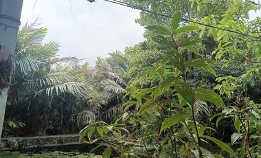 Tanah 24600 Meter Persegi Cocok Untuk Homestay/Glamping, Wonokerto, Turi