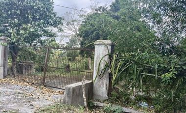 Tanah 24600 Meter Persegi Cocok Untuk Homestay/Glamping, Wonokerto, Turi