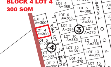 RUSH SALE! Manila Southwoods Phase 1A – Near Alabang 💎 300 sqm | Facing East | Regular Cut 💰 ₱26K/sqm only!