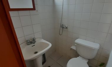 Bosques de San Francisco, Rancagua