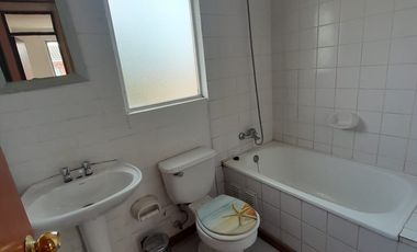 Bosques de San Francisco, Rancagua