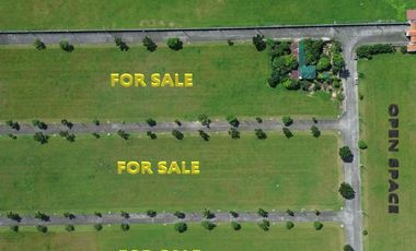 450 SQM Residential Lot in Executive Subdivision in Telabastagan San Fernando Pampanga near SM