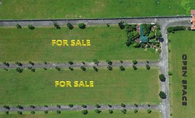 450 SQM Residential Lot in Executive Subdivision in Telabastagan San Fernando Pampanga near SM