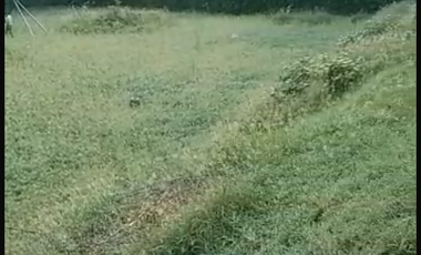 Venta de Lote en Sopetran Antioquia