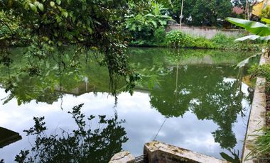 Rumah Lokasi Strategis Samping Jalan Dekat Pusat Kota Cianjur