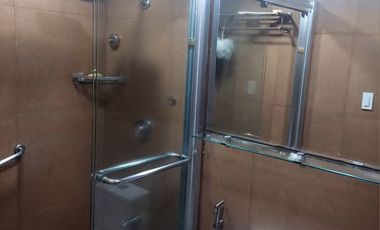 FULLY FURNISHED 53sqm CONDOMINIUM UNIT STUDIO TYPE WITH BALCONY For Rent Lease  in Malayan Plaza Ortigas Center Pasig  near ADB Ave Megamall Podium