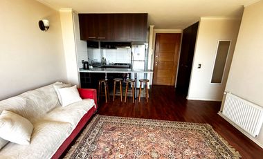 Departamento amoblado en arriendo sector Alemania