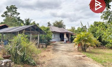 ขายบ้านเดี่ยวพร้อมที่ดิน เนื้อที่ 1 ไร่ 2 งาน 11.7 ตร.วา วังทอง พิษณุโลก